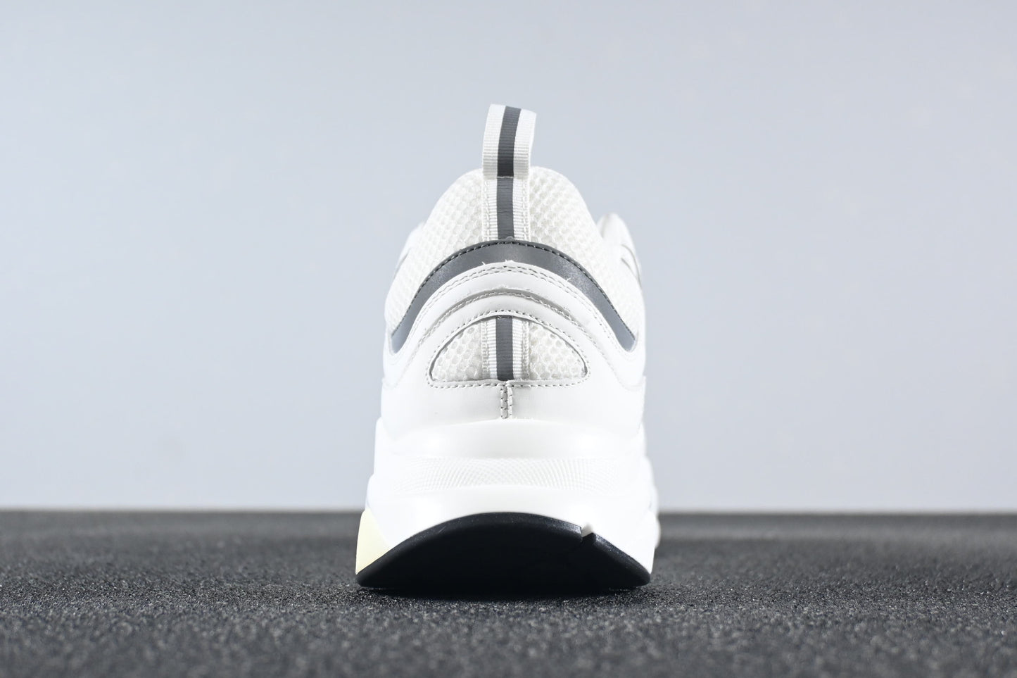 DIOR B22 - WHITE & GREY